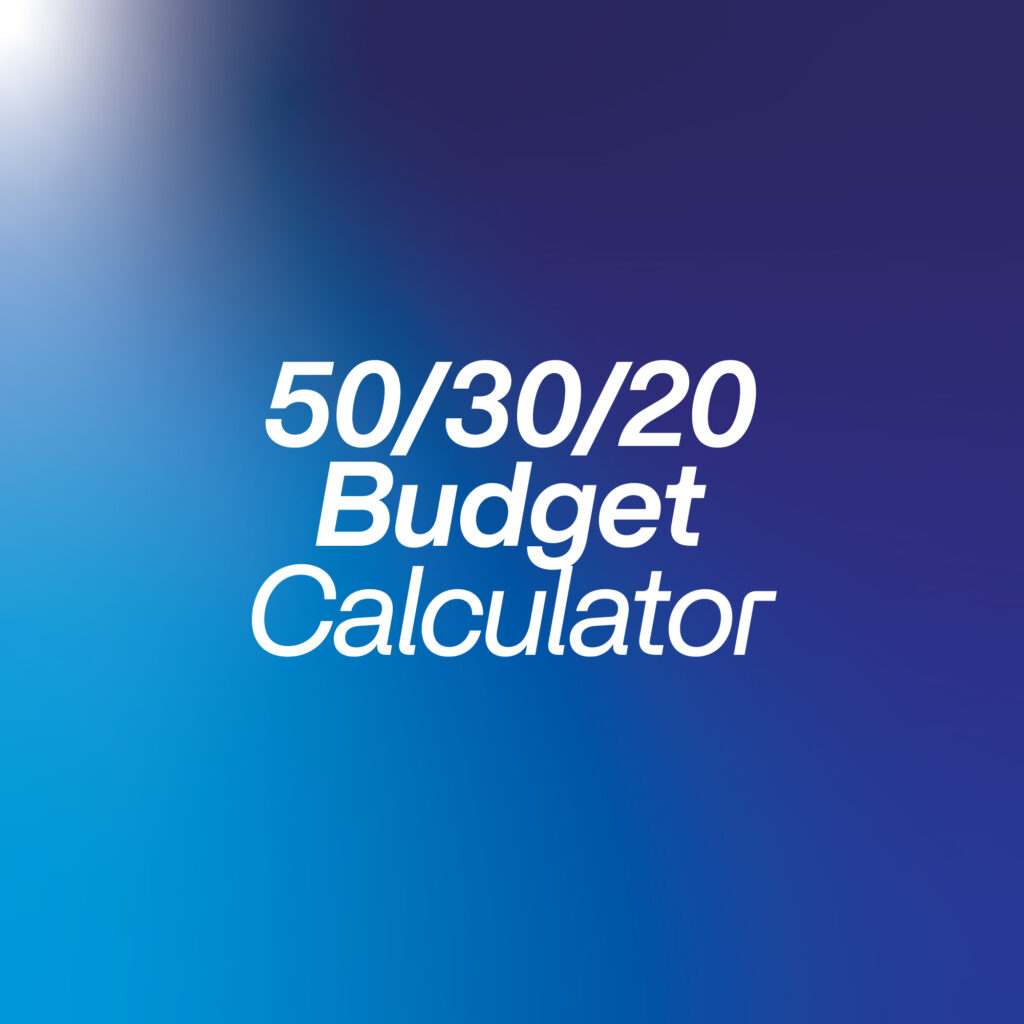 50 30 20 Rule Budget Planner